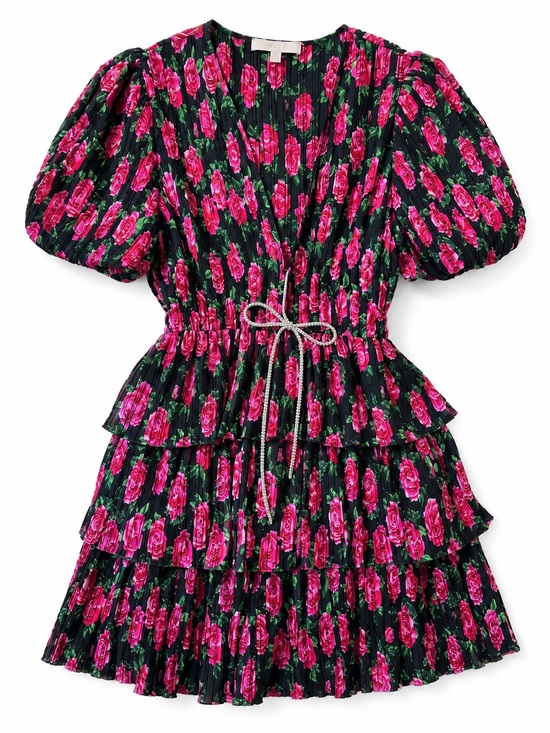 Wayf Dresses & Skirts - WAYF Red Roses Pleated Mini Dress Floral Tiered Puff Sleeve Size M